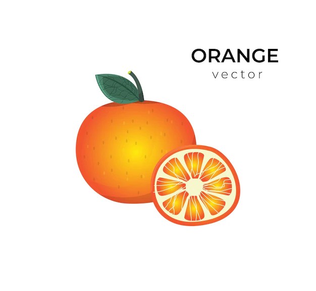 Premium Vector Orange vector design