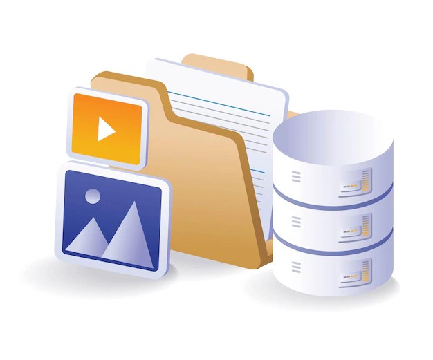 Premium Vector Store data on the server