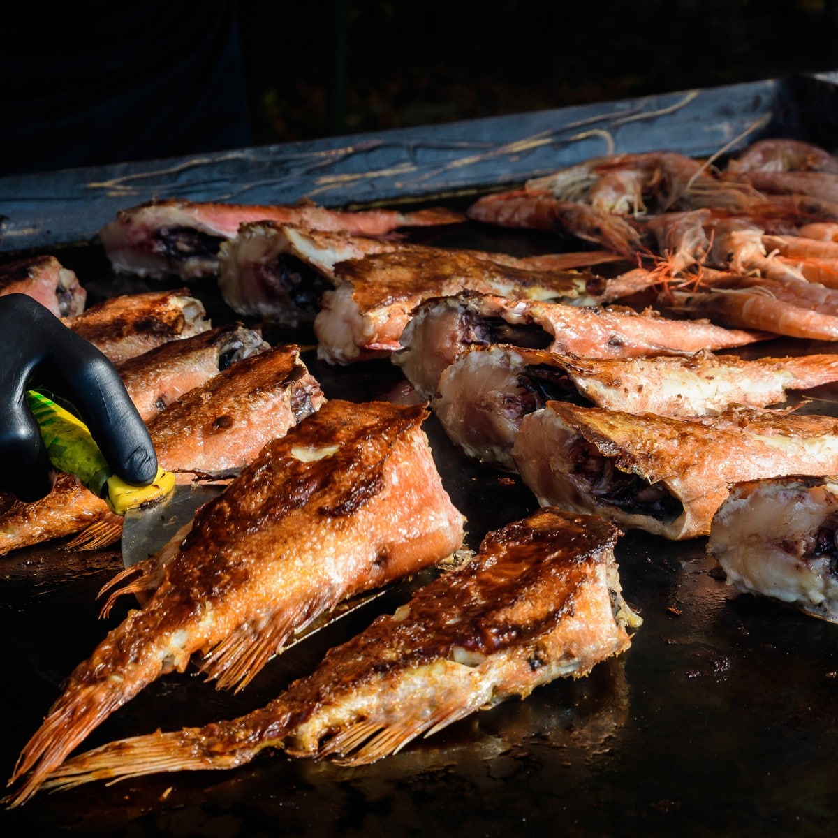 Perch Fish Frozen Fish Direct