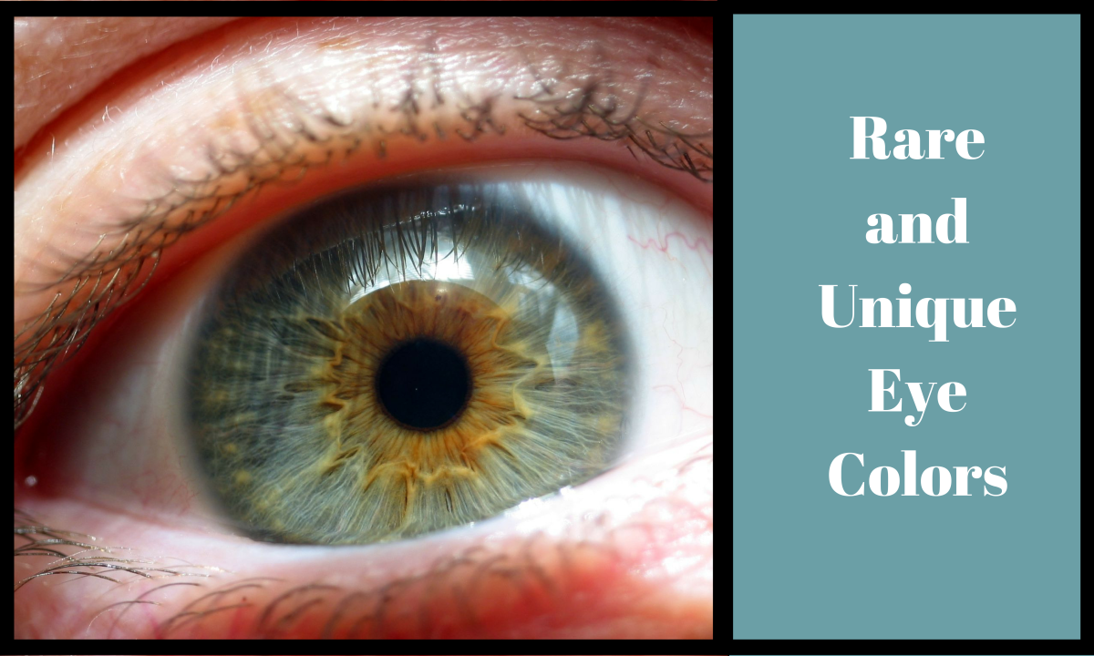 6 couleurs d'yeux rares et uniques Tige 2024