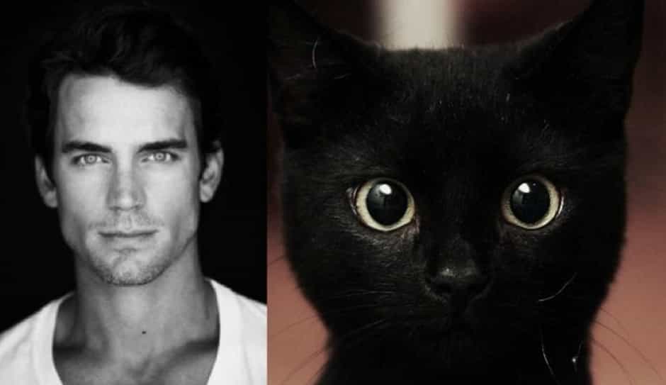 Hot Guys and Cats Striking » GagDaily News
