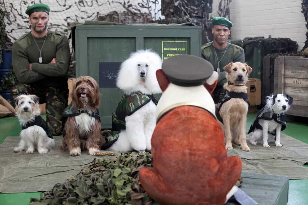 The Week in Pictures Animals June 7 June 14 2013 » GagDaily News
