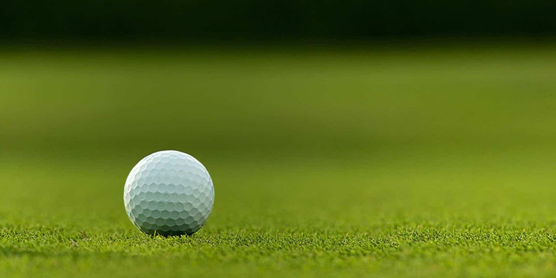 Psp Golf Tournament 2023 Ea Has 4 Secret Projects Scheduled For The Beginning Of 2023 - Game News 24