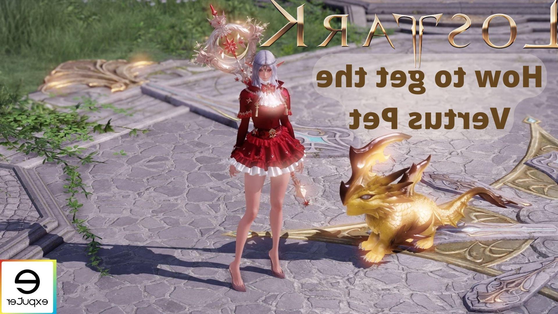 Lost Ark Pet How To get, Benefits & More! Game News 24