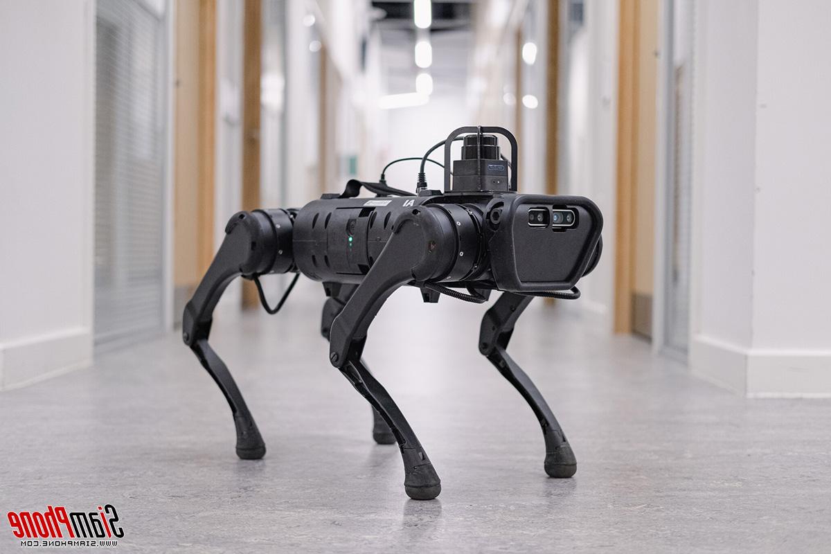 The robotic robot dog was built with an advanced solution at Boston