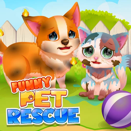 Play Funny Rescue Pet on W5Play!