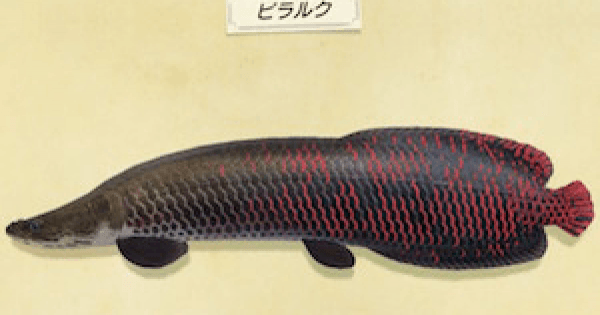 魚 図鑑 あつ 森 【あつ森】魚図鑑の全80種類まとめ！売値、出現期間や時間帯、場所など