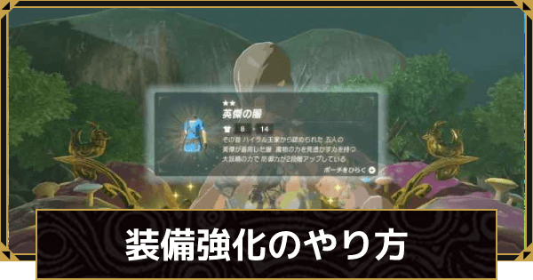Amazon | ゼルダの伝説 ブレス オブ ザ ワイルド - Switch | ゲーム ブレスオブザワイルド】装備強化のやり方【ゼルダの伝説ブレスオブザワイルド】 - ゲームウィズ