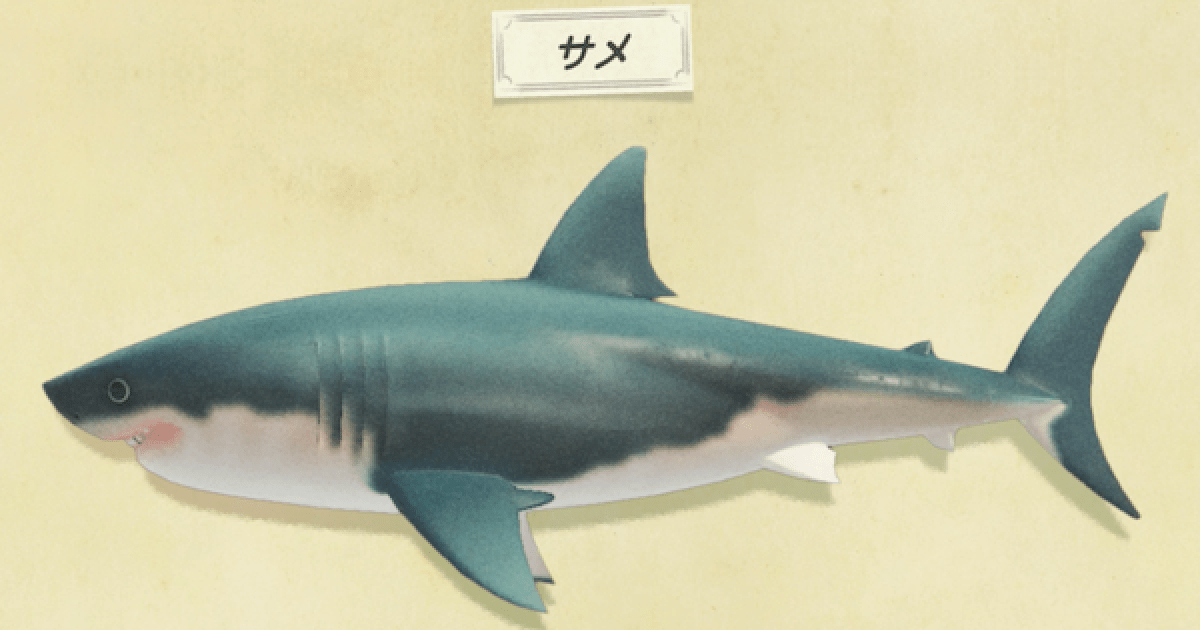 敦盛 小判鮫 野菜・花・魚・動物