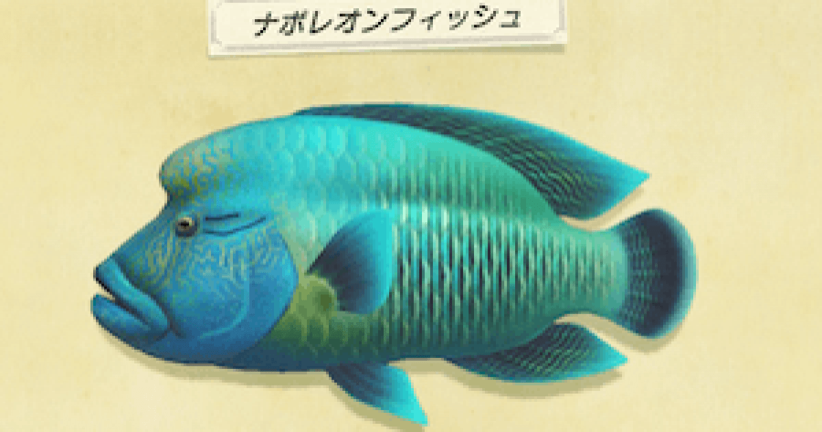 【200以上】 ナポレオンフィッシュ 画像 最優秀作品賞 2020