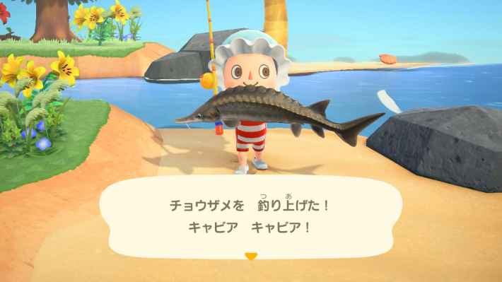 【あつ森】チョウザメの値段と釣り方・出現時間【あつまれどうぶつの森】 ゲームウィズ(GameWith)