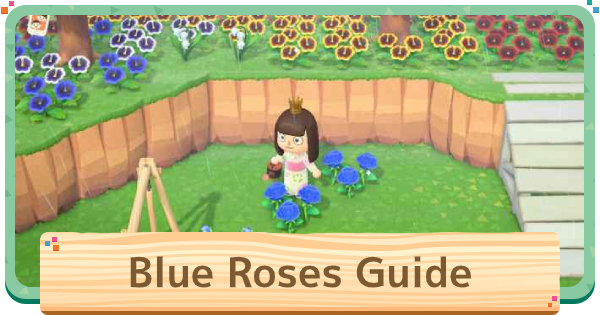 Acnh | Blue Roses - How To Get & Breed | Animal Crossing - Gamewith