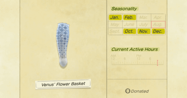 Acnh | Venus' Flower Basket - How To Catch & Price | Animal Crossing - Gamewith
