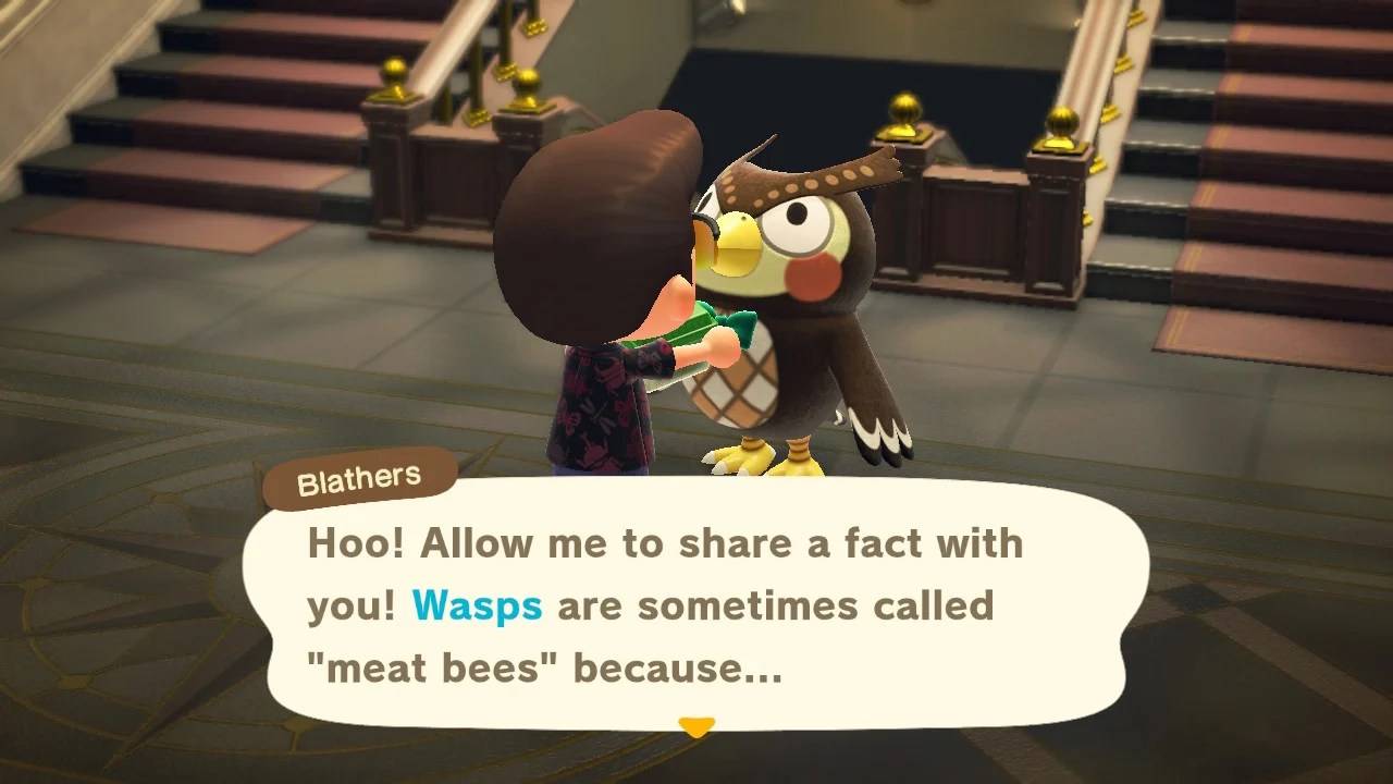 ACNH Museum Guide How to Get & Upgrade Animal Crossing GameWith