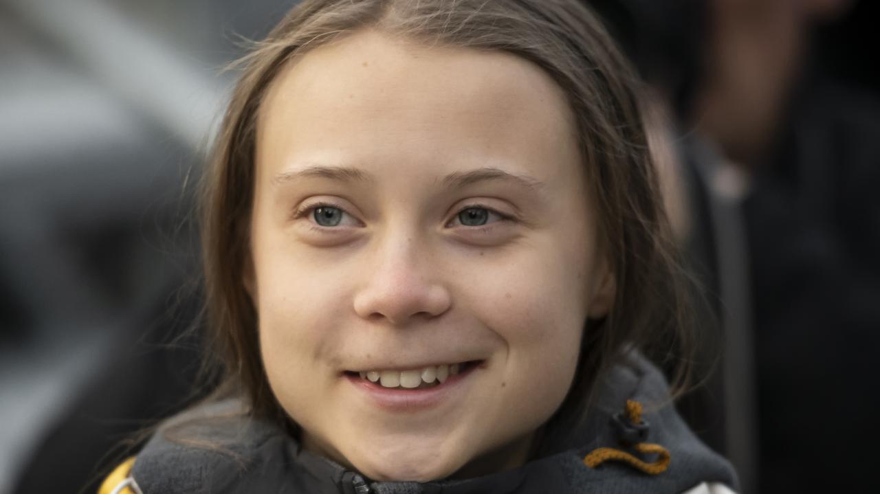 Thunderberging The new dating trend based on Greta Thunberg(017)