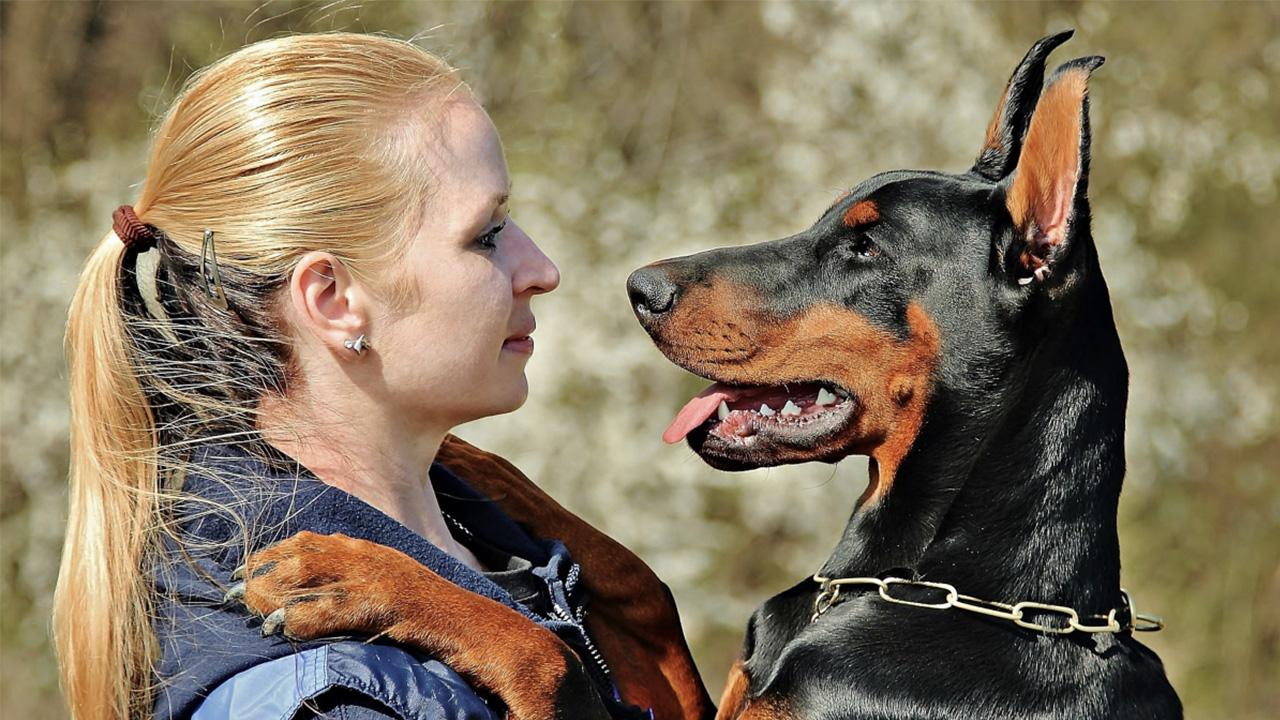 Nach dem Urlaub umarmt Frau ihren Hund mit schrecklichen Folgen