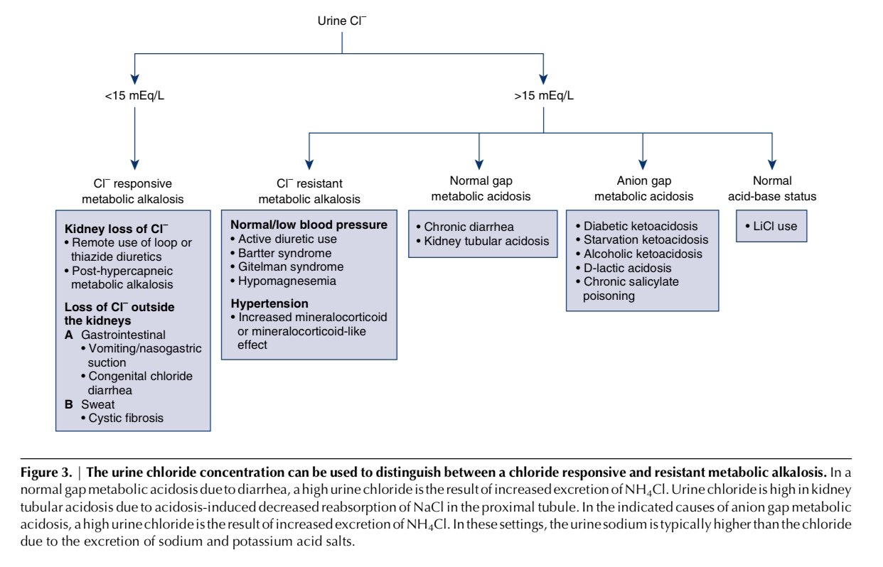 Metabolic Acidosis Algorithm