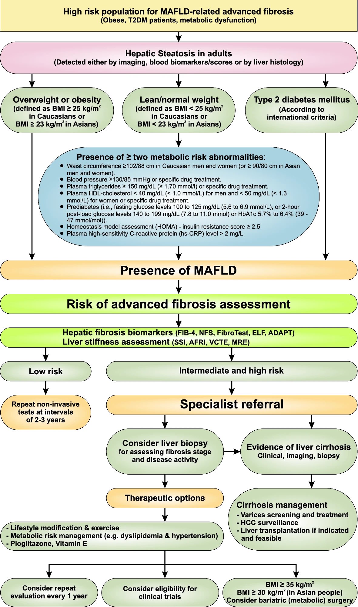 MAFLD Diagnosis Algorithm Metabolic Associated Fatty GrepMed