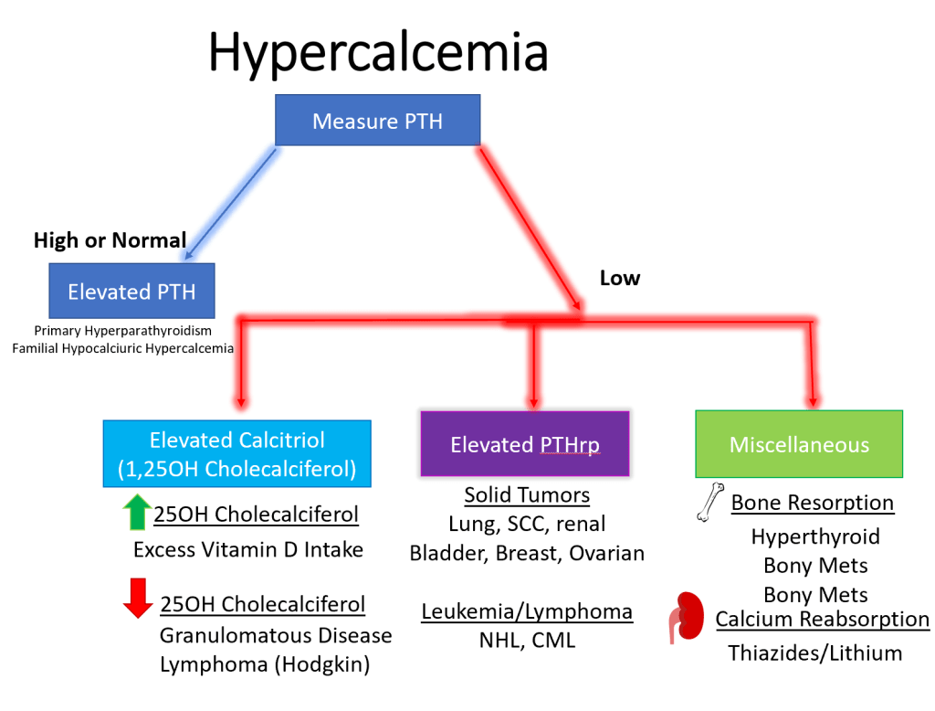 Hypercalcemia Differential Diagnosis Algorithm Elevated GrepMed