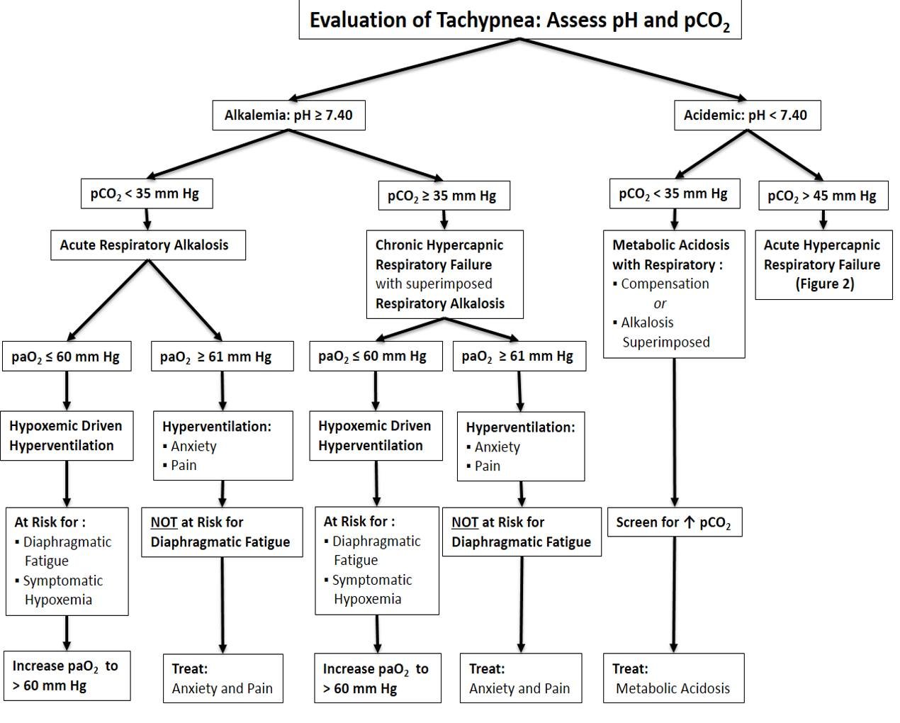 Tachypnea Evaluation and Differential Diagnosis Algorithm Alkalemia