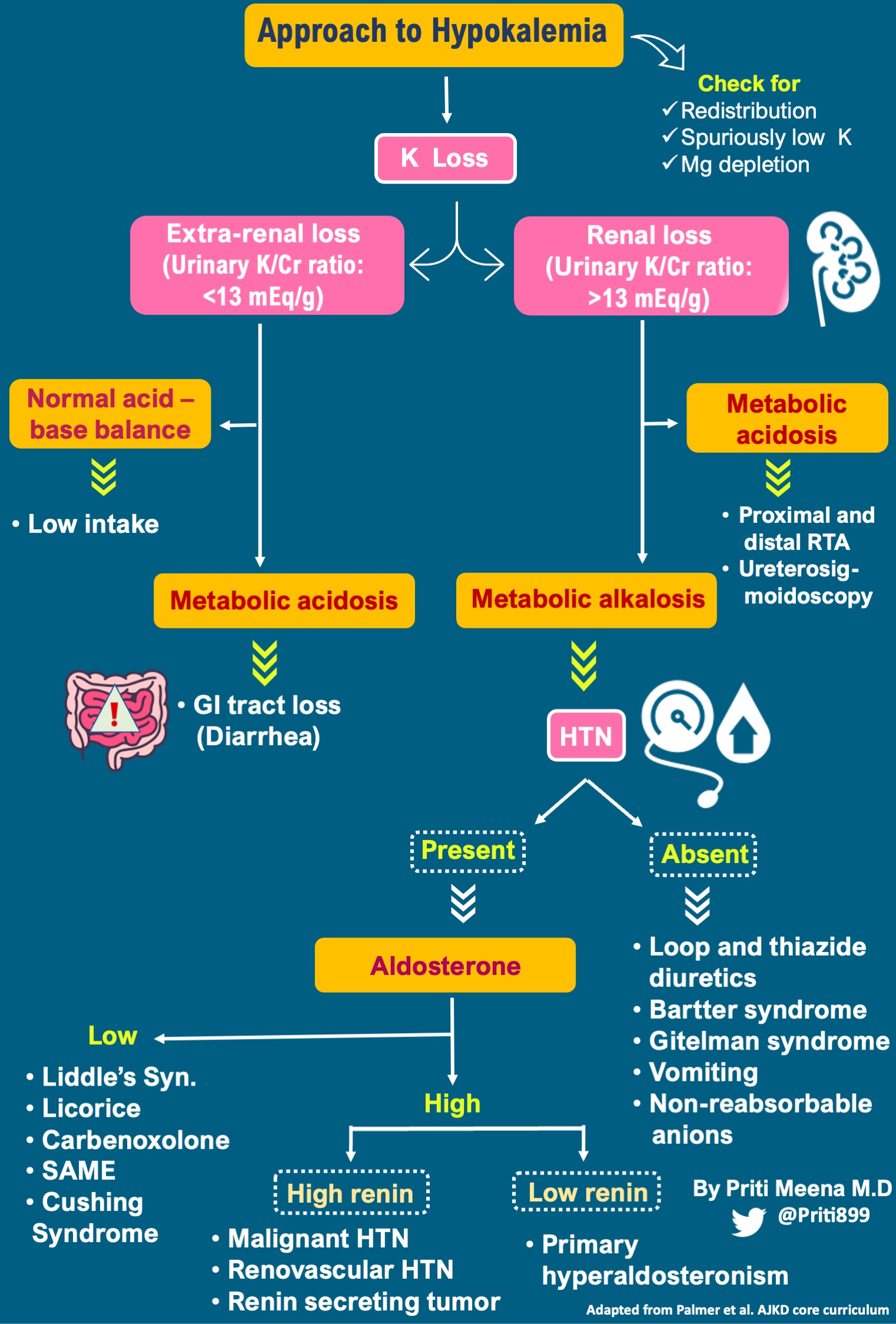 Aldosterone Potassium
