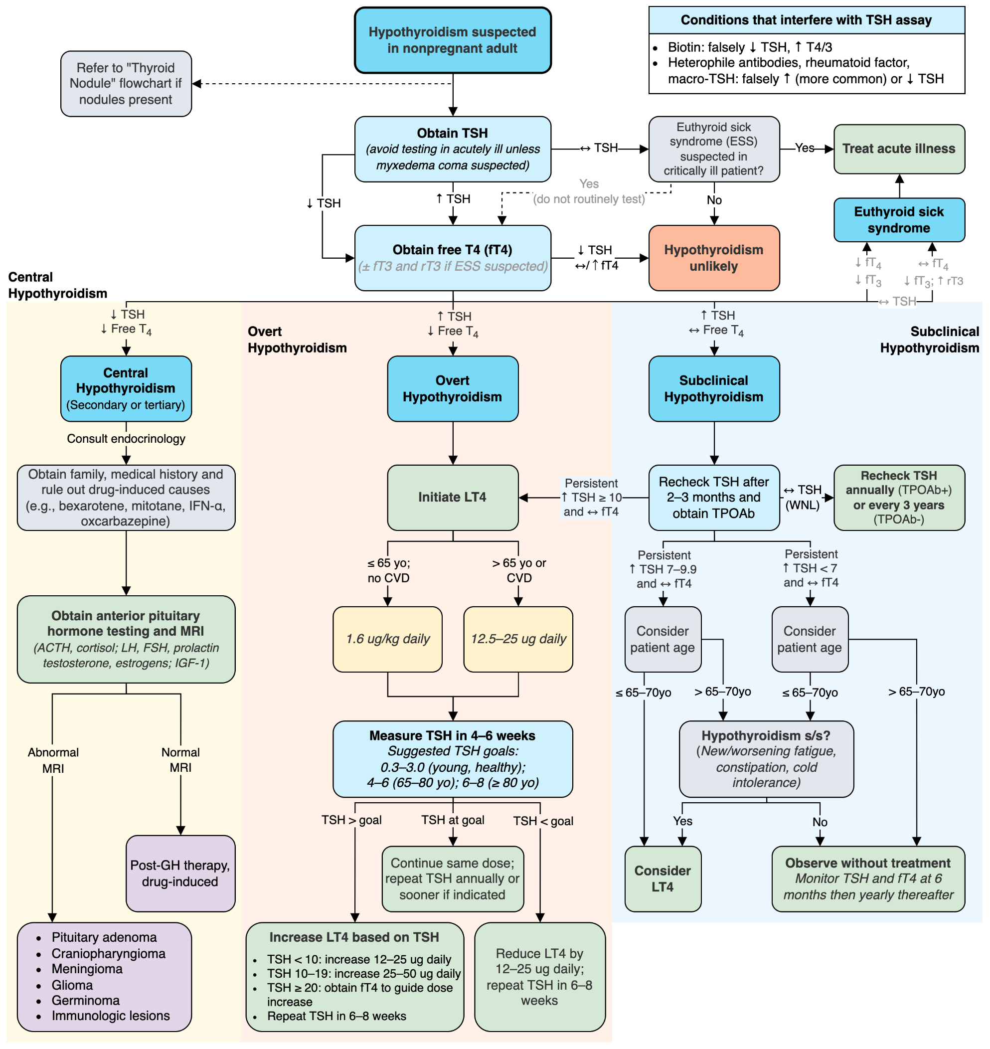 Algorithmic Approach to Hypothyroidism Differential GrepMed