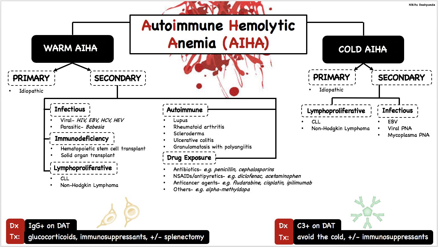 Autoimmune Hemolytic Anemia Treatment