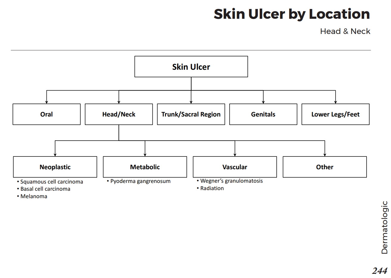 Head and Neck Skin Ulcers Differential Diagnosis GrepMed