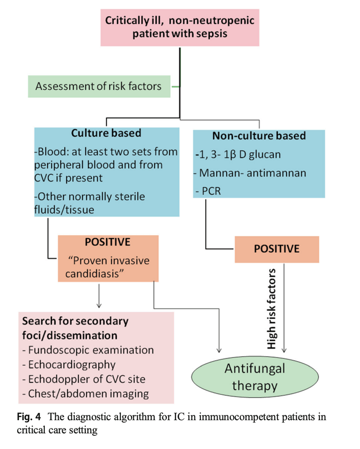 Invasive Candidiasis (IC) Diagnostic Algorithm for GrepMed