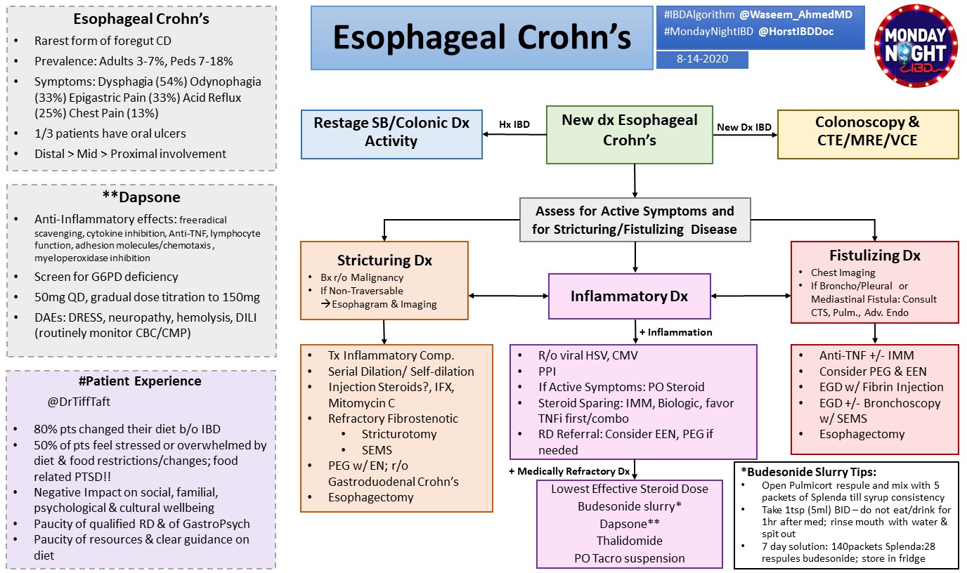 Esophageal Crohn's Disease Management Algorithm Assess GrepMed