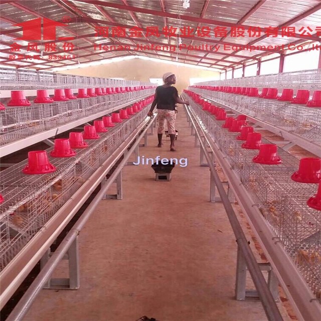 Uganda Chicken Coop Chicken Brooding Poultry Cage