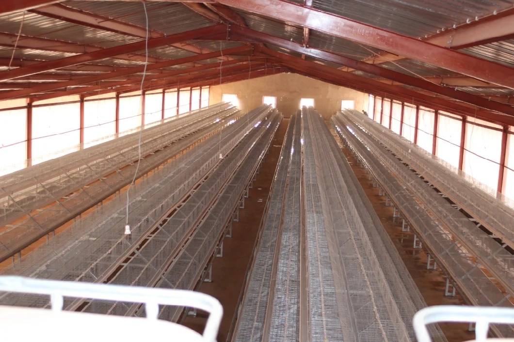 Uganda Chicken Coop Chicken Brooding Poultry Cage