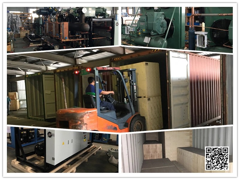 Bitzer Watercooled Aircooled Cold Storage Condensing Unit