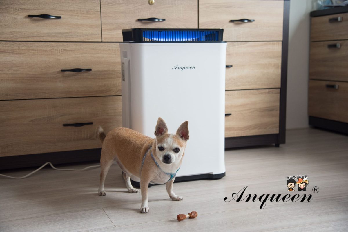 【空氣清淨機推薦】Anqueen 空氣清淨機 – PM2.5 負離子AQ-R350變頻加濕空氣清淨機，無按鍵觸控板好用值得推薦！