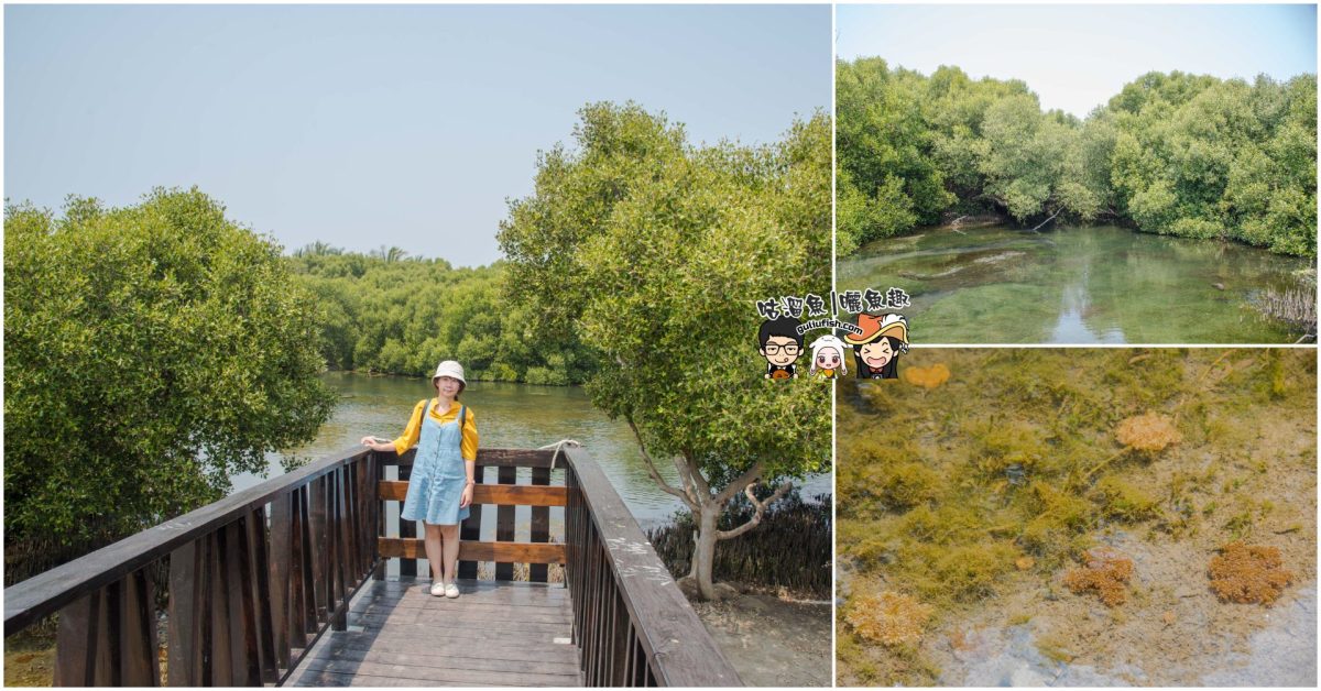 高雄景點》林園海洋溼地公園 近距離接觸水母湖！神祕豐饒的潮汐地，可觀賞夢幻倒立水母及紅樹林