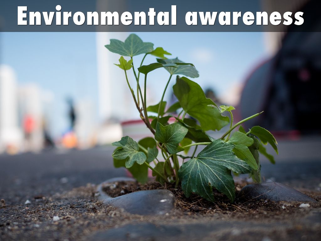 Copy of Environmental awareness by Hilton Serna