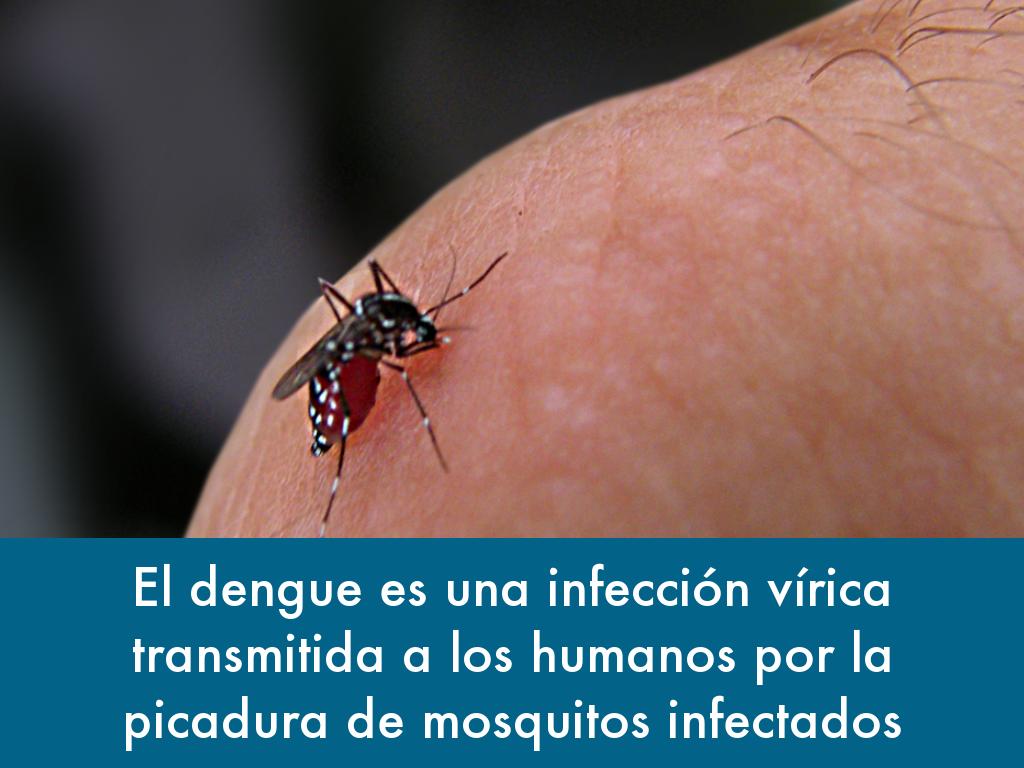 Dengue by KAROL YACKZIRHE FLORES RUIZ