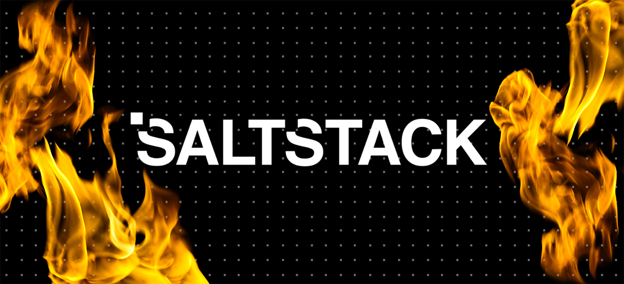 Saltstack Logo