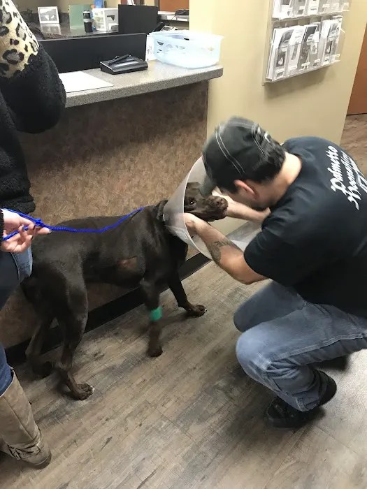 Magnolia Veterinary Hospital Your Compassionate Pet Hospital in