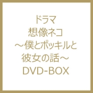 想像ネコ～僕とポッキルと彼女の話】キャストとあらすじを画像付きでまとめ！相関図も｜映画、韓国ドラマなどを無料で見る方法を解説するブログ 想像ネコ～僕とポッキルと彼女の話～Dvd-Box | Hmv&Books Online - Pcbp-62216