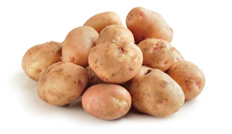 root cellar vegetables fruit