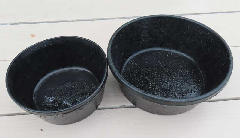 cleaning coop chickens