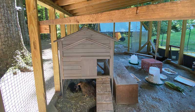 This Cool Coop Puts Chicken Comfort First! - Hobby Farms