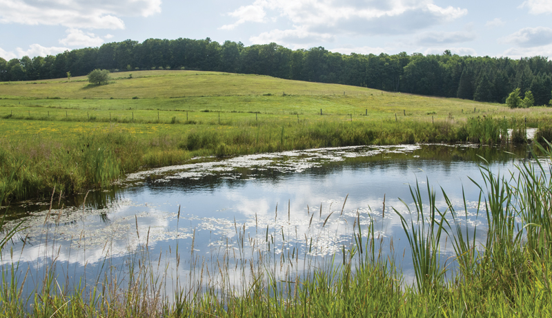 farm water backup plan