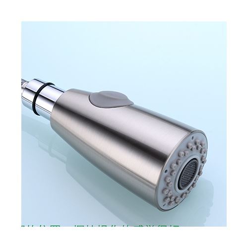 Nickel Brushed Finish ABS Circle Handle Shower Head