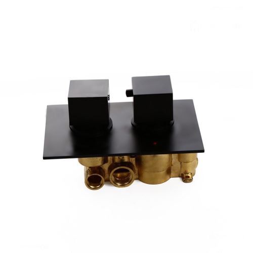 Modern Square Shower Valve Concealed 2Way Thermostatic Shower Valve in