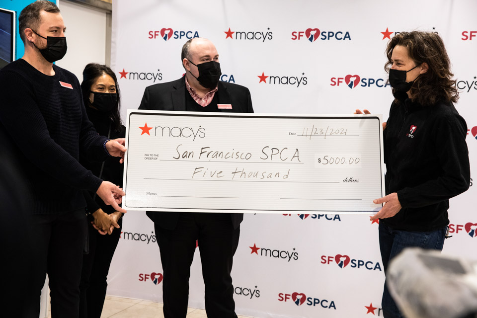 Sf Spca Holiday Windows 2023 Sf Spca And Macy's Annual Holiday Windows Are Back