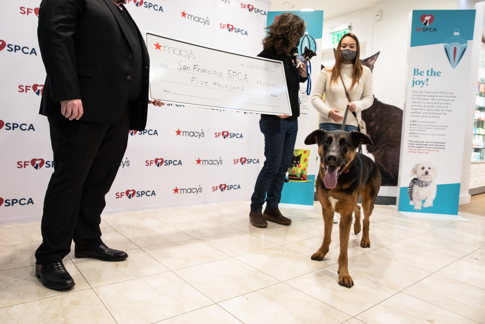 Sf Spca Holiday Windows 2023 Sf Spca And Macy's Annual Holiday Windows Are Back