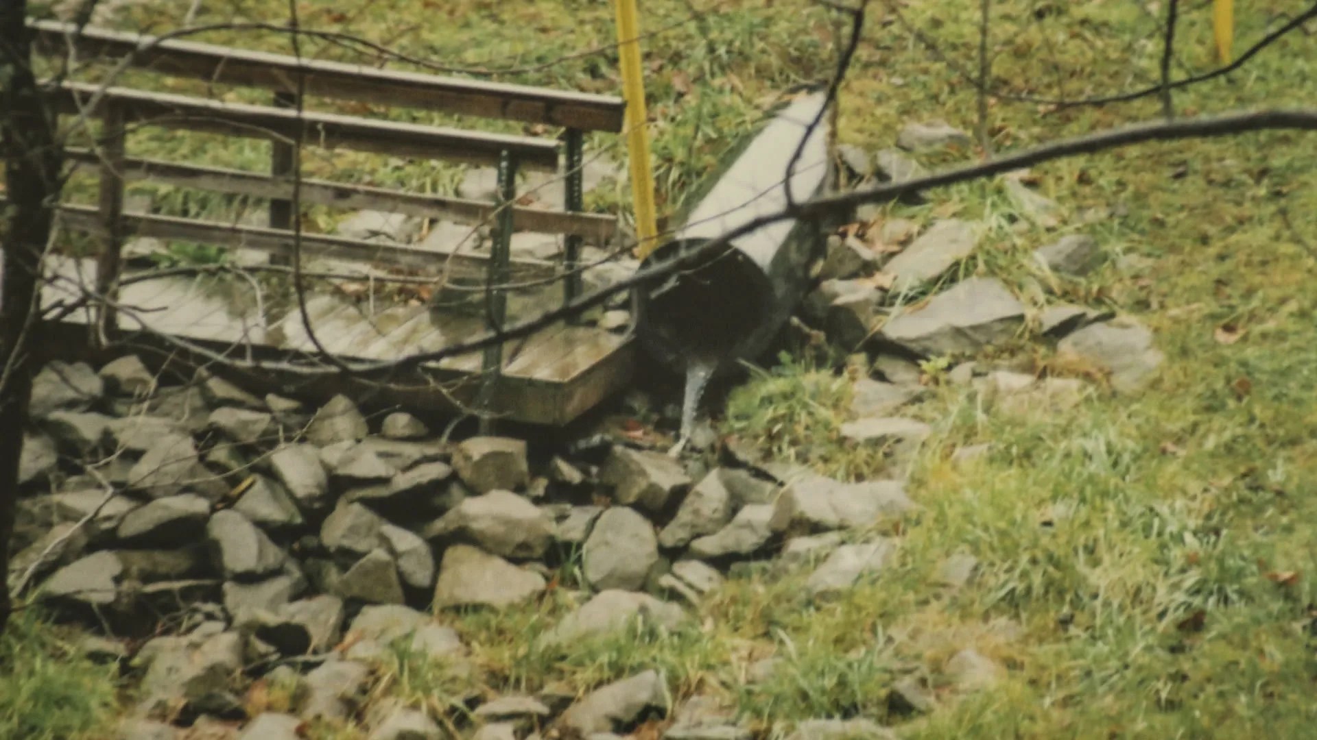 to Beautiful Parkersburg, West Virginia The Huffington Post