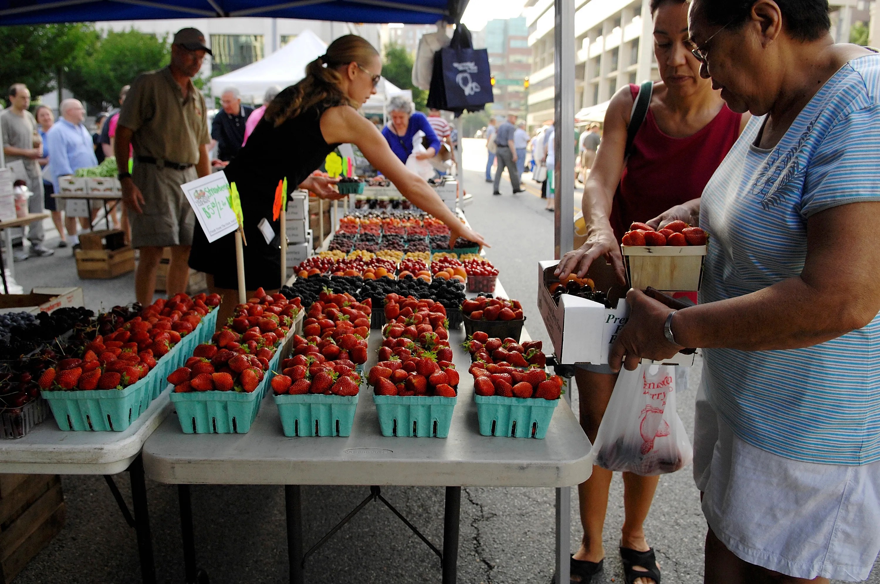 Does aldi accept wic gaswjax